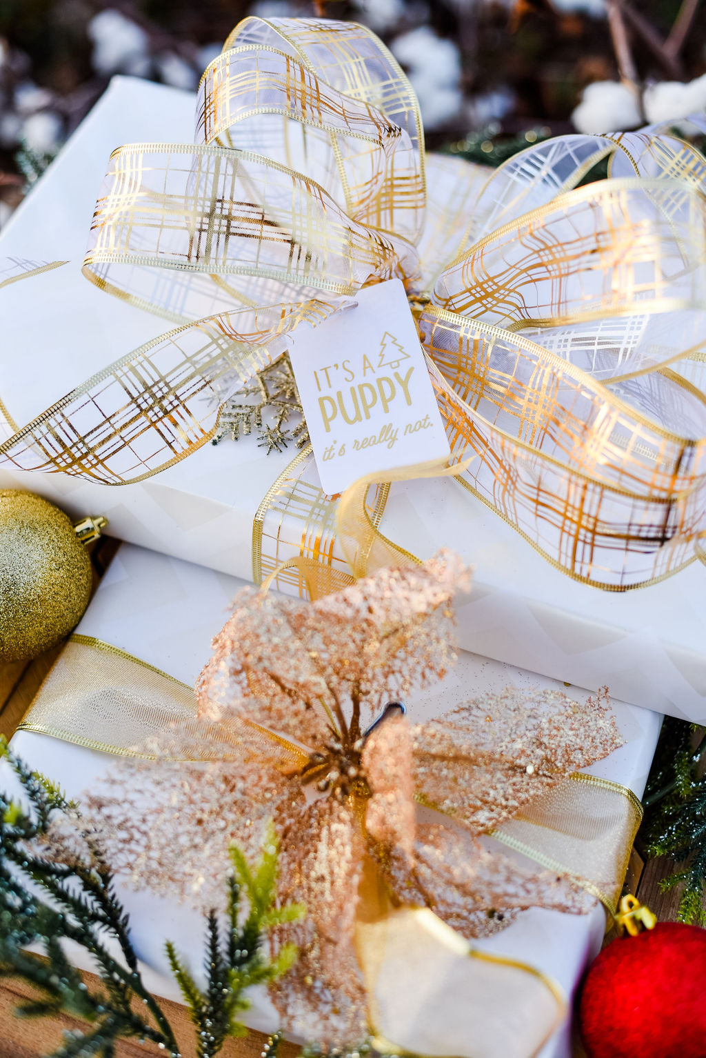 It's a Puppy (It's Really Not) Gift Tag (5 Tags)