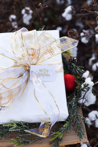 Merry Christmas Gift Tag (5 Tags)
