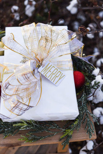 Merry Gift Tag (5 Tags)